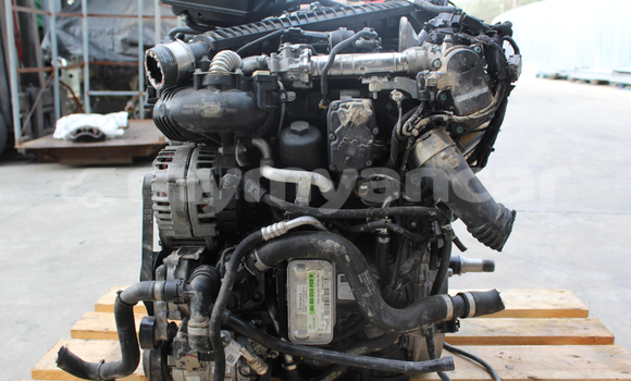 Medium with watermark s l16003