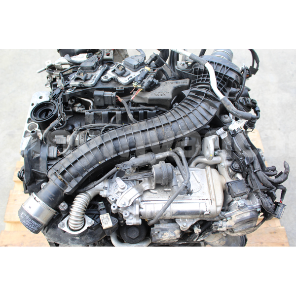 Big with watermark s l16000