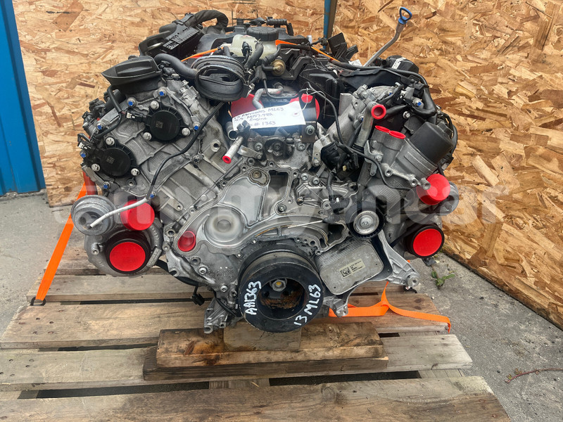 Big with watermark b