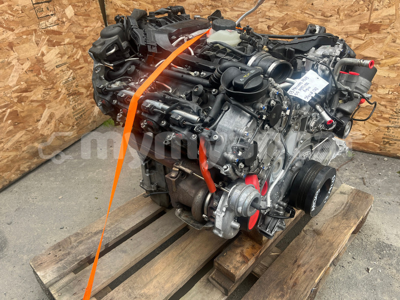 Big with watermark c