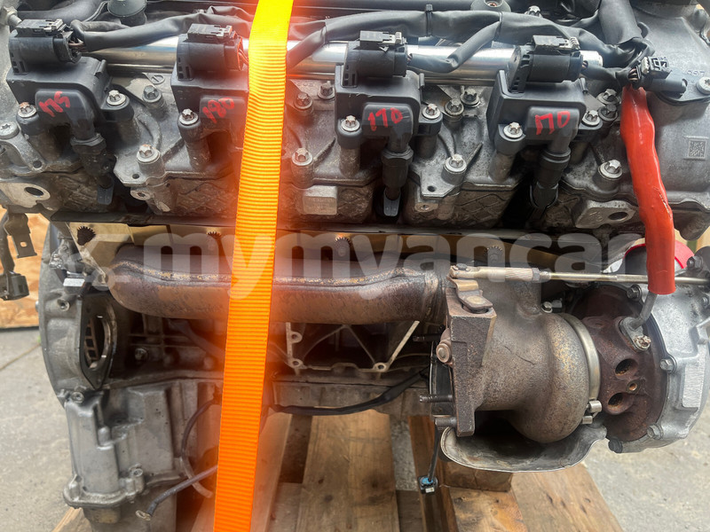 Big with watermark h