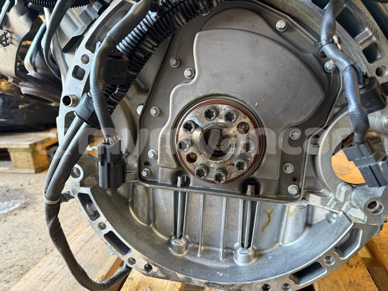 Big with watermark 10