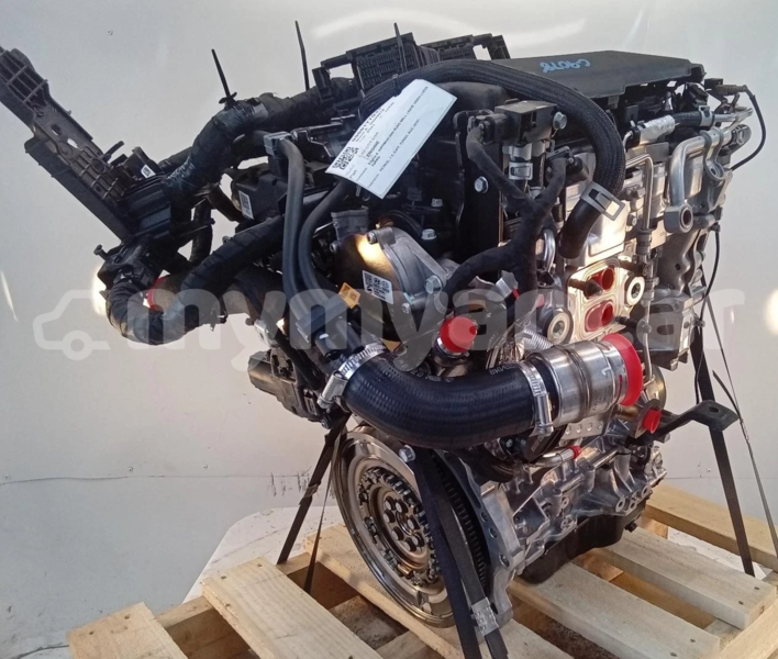 Big with watermark s l16001