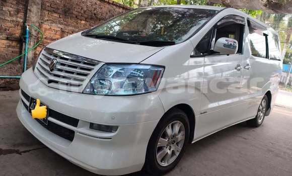 အသုံးပြုခံ့ Toyota Alphard Other ကား Banmo Kachin အသုံးပြုခံ့ Toyota Alphard Other ကား Banmo Kachin