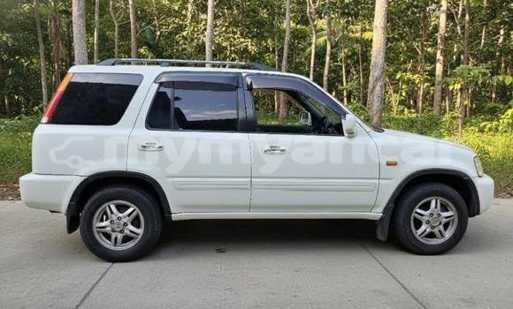 Buy Used Honda CR–V White Car in Bogale in Ayeyarwady Buy Used Honda CR–V White Car in Bogale in Ayeyarwady