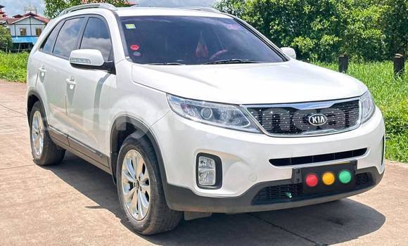 Buy Used Kia Sorento White Car in Banmo in Kachin
