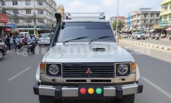 Buy Used Mitsubishi Pajero Other Car in Bogale in Ayeyarwady