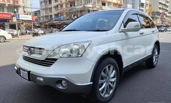 Buy Used Honda CR–V White Car in Chauk in Magway