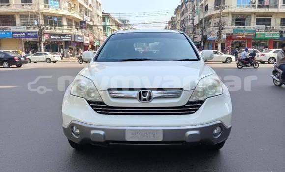 Buy Used Honda CR–V White Car in Chauk in Magway Buy Used Honda CR–V White Car in Chauk in Magway