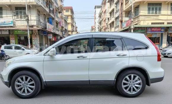 Buy Used Honda CR–V White Car in Chauk in Magway Buy Used Honda CR–V White Car in Chauk in Magway
