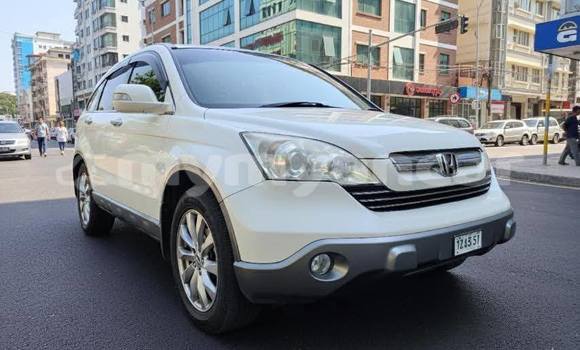 Buy Used Honda CR–V White Car in Chauk in Magway Buy Used Honda CR–V White Car in Chauk in Magway