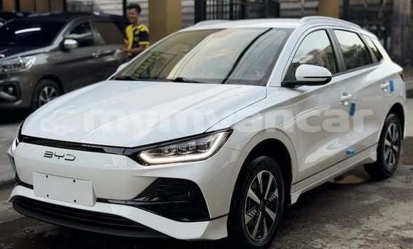 Buy Used BYD E6 White Car in Bogale in Ayeyarwady