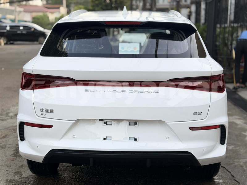 Big with watermark byd e6 ayeyarwady bogale 4919