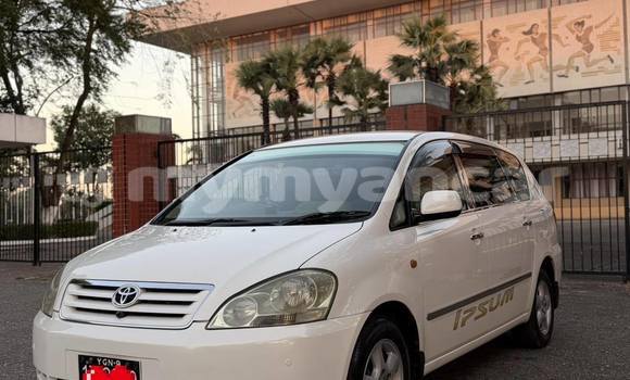 Buy Used Toyota Ipsum White Car in Banmo in Kachin Buy Used Toyota Ipsum White Car in Banmo in Kachin