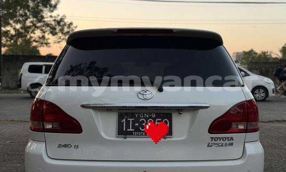 Buy Used Toyota Ipsum White Car in Banmo in Kachin Buy Used Toyota Ipsum White Car in Banmo in Kachin