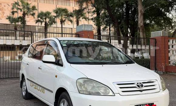 Buy Used Toyota Ipsum White Car in Banmo in Kachin Buy Used Toyota Ipsum White Car in Banmo in Kachin