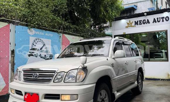 Buy Used Toyota Land Cruiser White Car in Falam in Chin
