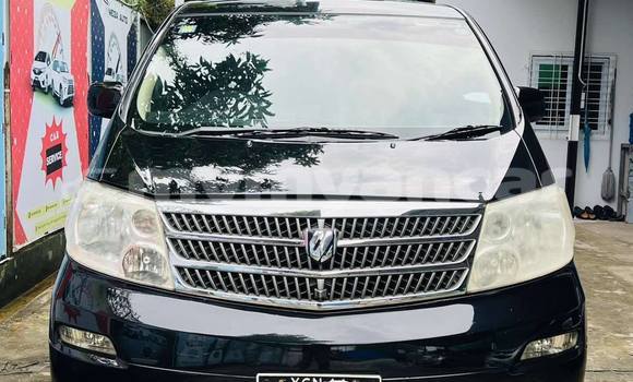 Buy Used Toyota Alphard Black Car in Dawei in Tanintharyi Buy Used Toyota Alphard Black Car in Dawei in Tanintharyi