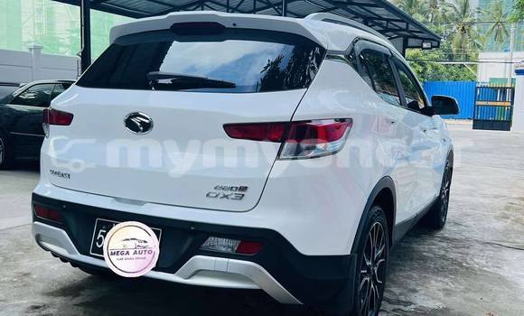 Acheter Occasion Voiture Soueast Lioncel Blanc à Import - Dubai, #<Region:0x000000000c5121b8>