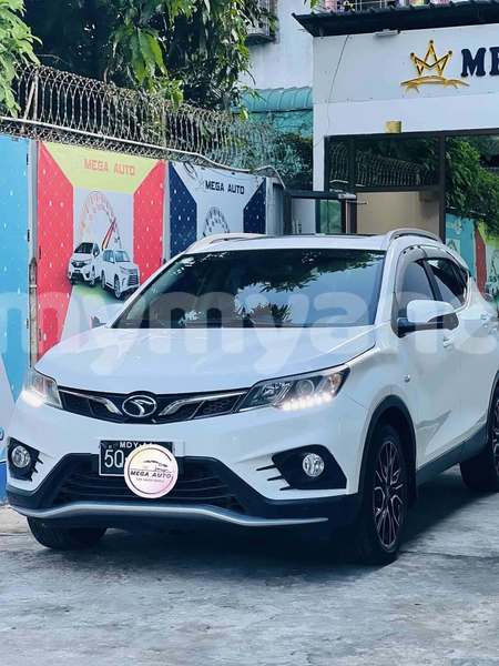 Big with watermark soueast lioncel ayeyarwady import dubai 4949