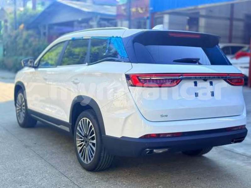 Big with watermark soueast lioncel rakhine arakan 4971