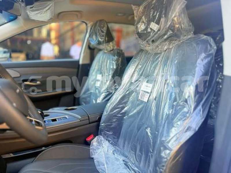 Big with watermark soueast lioncel rakhine arakan 4971