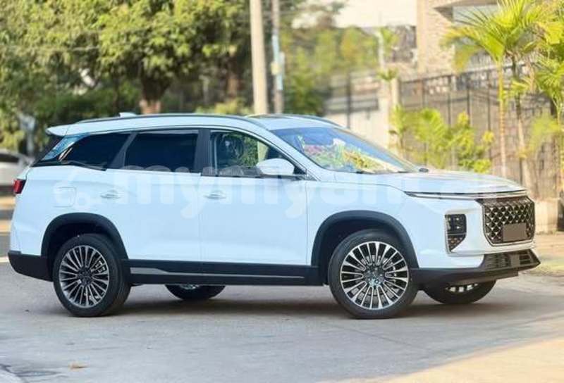 Big with watermark soueast lioncel rakhine arakan 4971