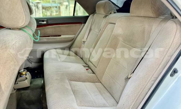Buy Used Toyota Mark X Other Car in Dawei in Tanintharyi Buy Used Toyota Mark X Other Car in Dawei in Tanintharyi