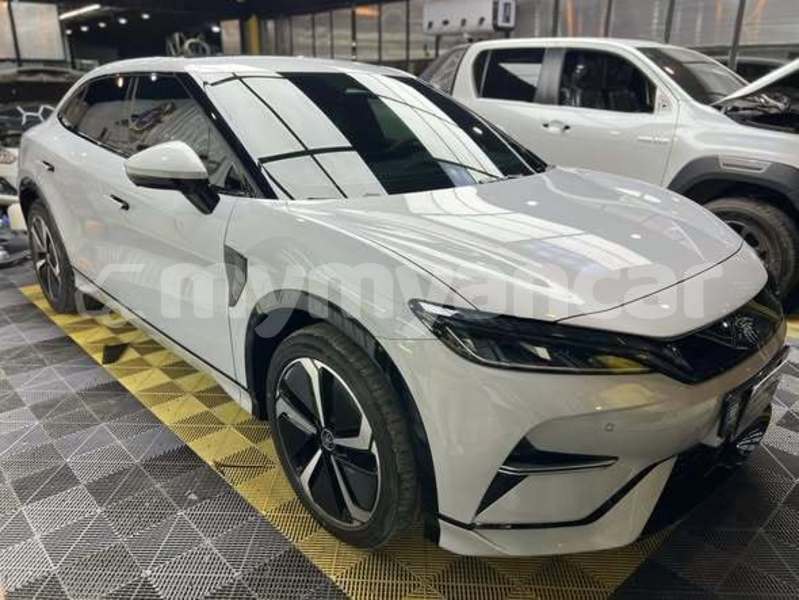 Big with watermark byd e6 chin falam 4983