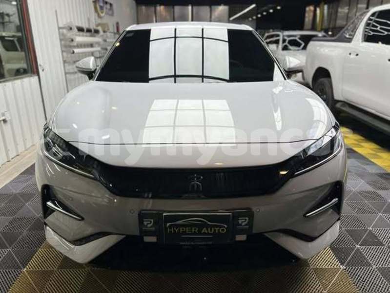 Big with watermark byd e6 chin falam 4983