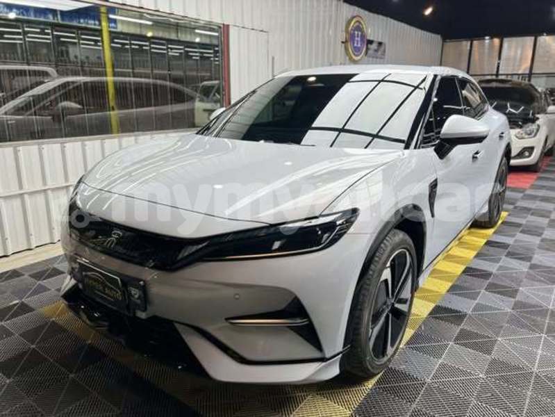 Big with watermark byd e6 chin falam 4983