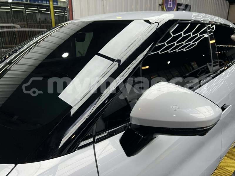 Big with watermark byd e6 chin falam 4983