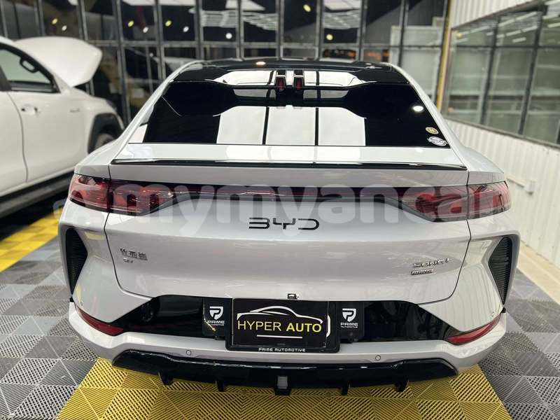 Big with watermark byd e6 chin falam 4983