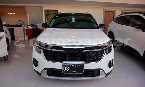 Buy Used Kia Sedona Other Car in Dawei in Tanintharyi