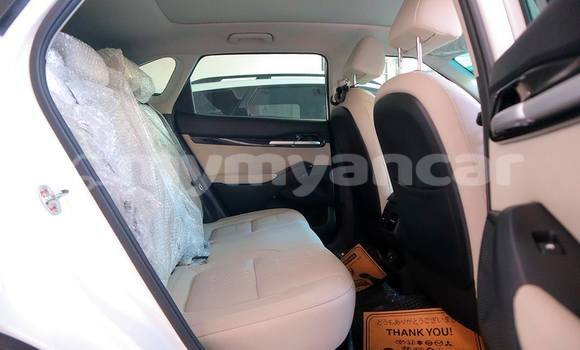 Buy Used Kia Sedona Other Car in Dawei in Tanintharyi Buy Used Kia Sedona Other Car in Dawei in Tanintharyi