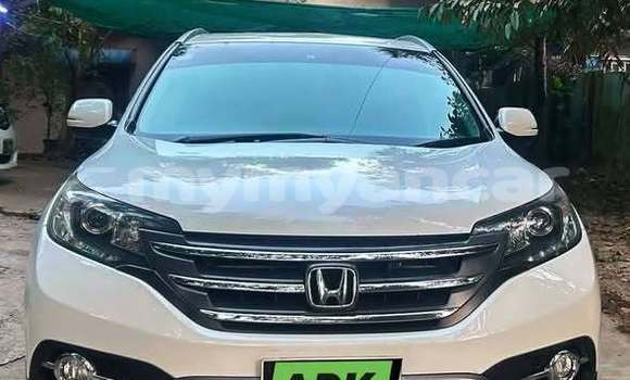 Buy Used Honda CR–V Other Car in Dawei in Tanintharyi