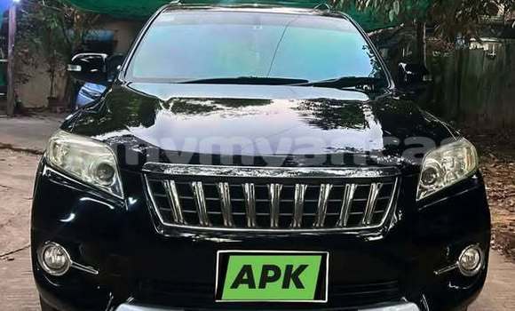 Buy Used Toyota Vanguard Other Car in Dawei in Tanintharyi