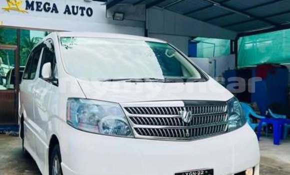 Buy Used Toyota Alphard Other Car in Dawei in Tanintharyi Buy Used Toyota Alphard Other Car in Dawei in Tanintharyi