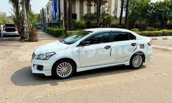 Buy Used Suzuki Alto Other Car in Dawei in Tanintharyi Buy Used Suzuki Alto Other Car in Dawei in Tanintharyi