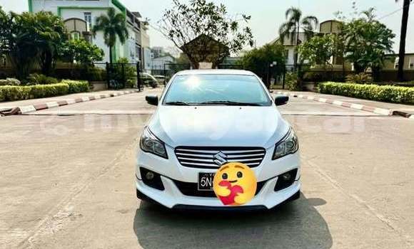 Buy Used Suzuki Alto Other Car in Dawei in Tanintharyi Buy Used Suzuki Alto Other Car in Dawei in Tanintharyi