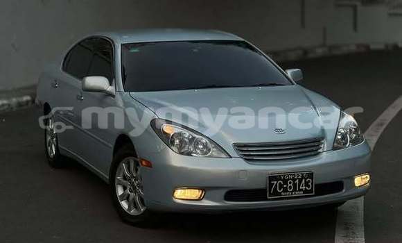 Buy Used Acura CSX Other Car in Yangon in Yangon