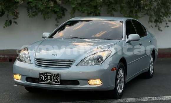 Buy Used Acura CSX Other Car in Yangon in Yangon Buy Used Acura CSX Other Car in Yangon in Yangon