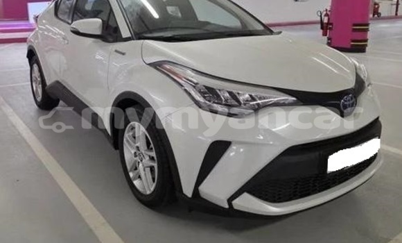 Buy Used Toyota C-HR White Car in Dawei in Tanintharyi