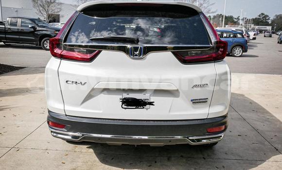 အသုံးပြုခံ့ Honda CR–V White ကား Dawei Tanintharyi အသုံးပြုခံ့ Honda CR–V White ကား Dawei Tanintharyi
