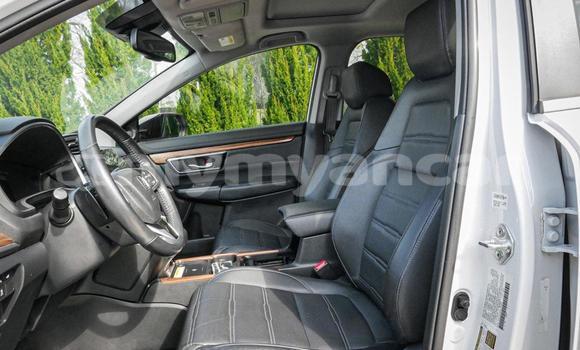 အသုံးပြုခံ့ Honda CR–V White ကား Dawei Tanintharyi အသုံးပြုခံ့ Honda CR–V White ကား Dawei Tanintharyi