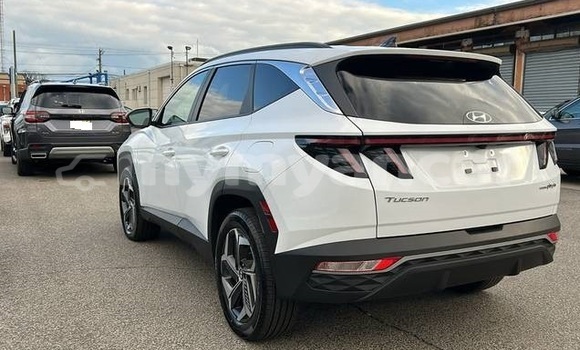 အသုံးပြုခံ့ Hyundai Tucson White ကား Dawei Tanintharyi အသုံးပြုခံ့ Hyundai Tucson White ကား Dawei Tanintharyi