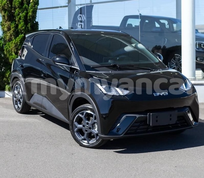 Big with watermark byd s6 tanintharyi dawei 5125