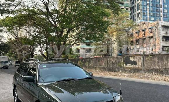 Buy Used Toyota Caldina Other Car in Dawei in Tanintharyi