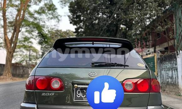 Buy Used Toyota Caldina Other Car in Dawei in Tanintharyi Buy Used Toyota Caldina Other Car in Dawei in Tanintharyi