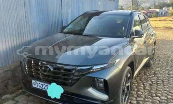 Buy Used Hyundai Tucson Other Car in Dawei in Tanintharyi